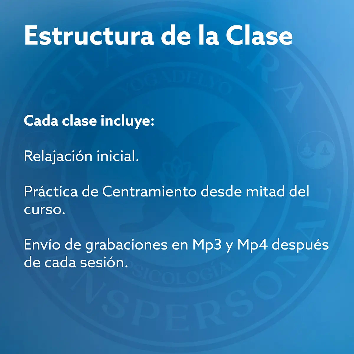 curso blay20256